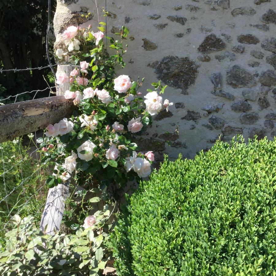 Les Epis Du Vent Bed & Breakfast Adilly Dış mekan fotoğraf