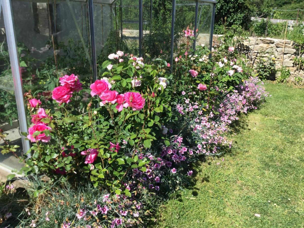 Les Epis Du Vent Bed & Breakfast Adilly Dış mekan fotoğraf